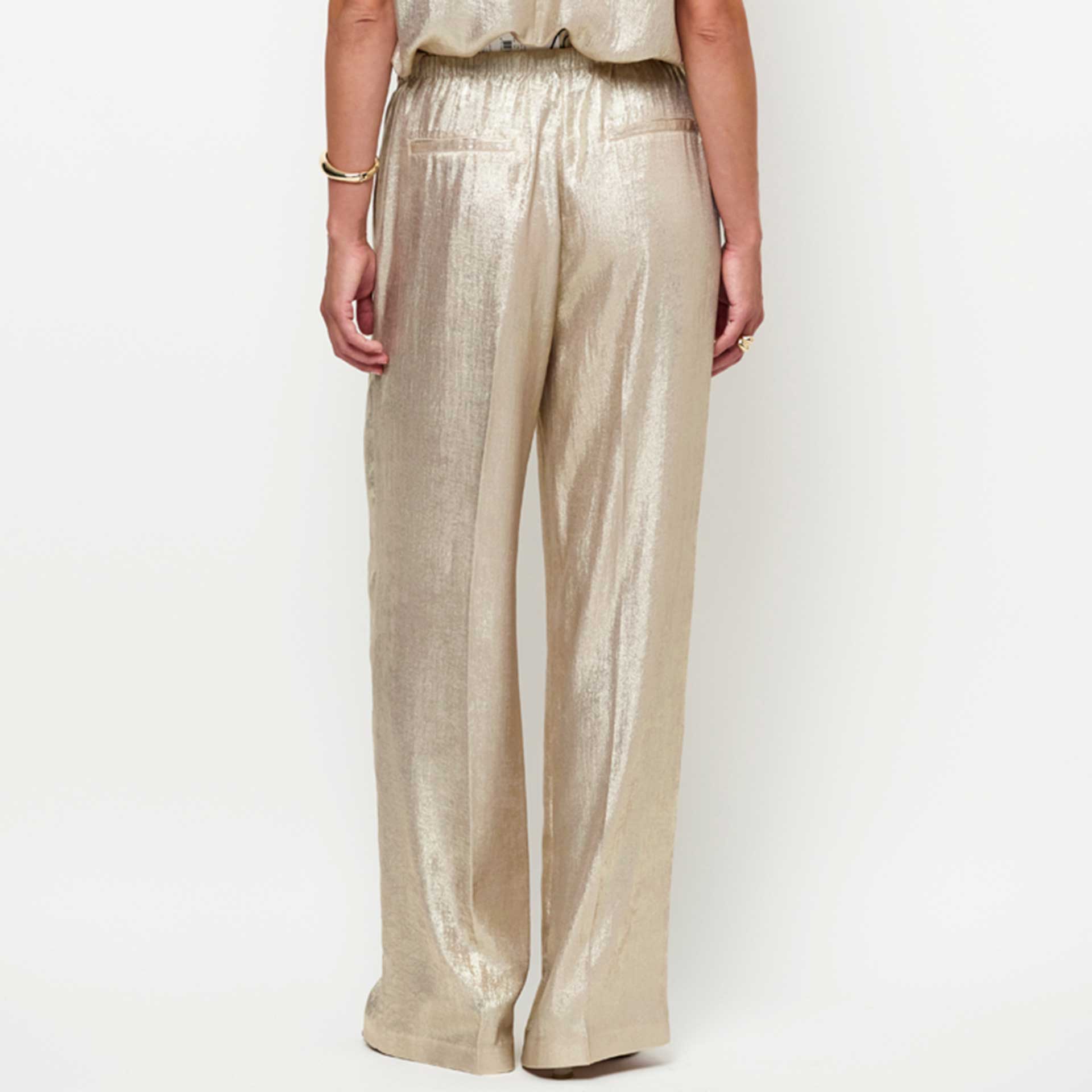 Dante 6 Broek Ido Metallic