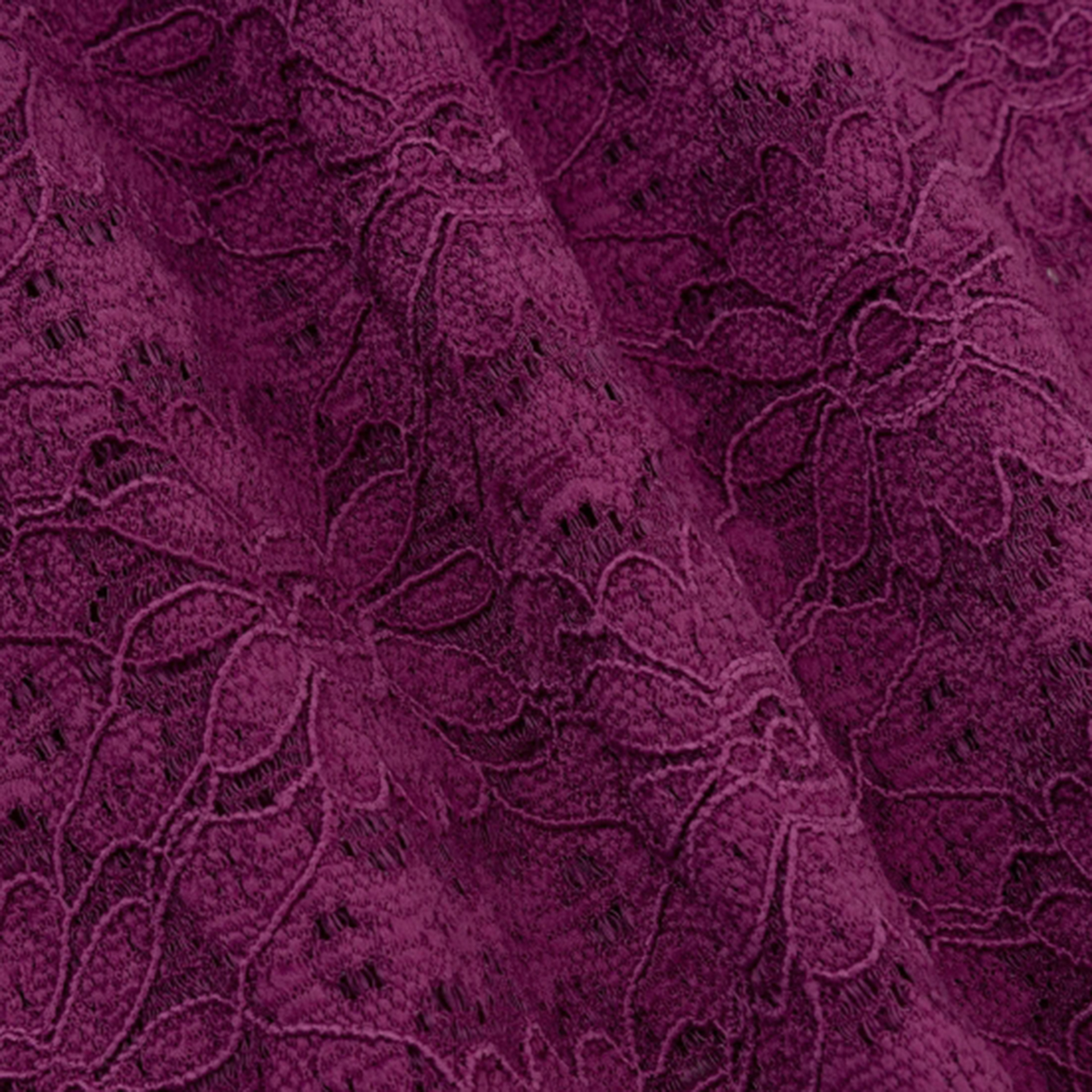 Ydence Truitje Loiza