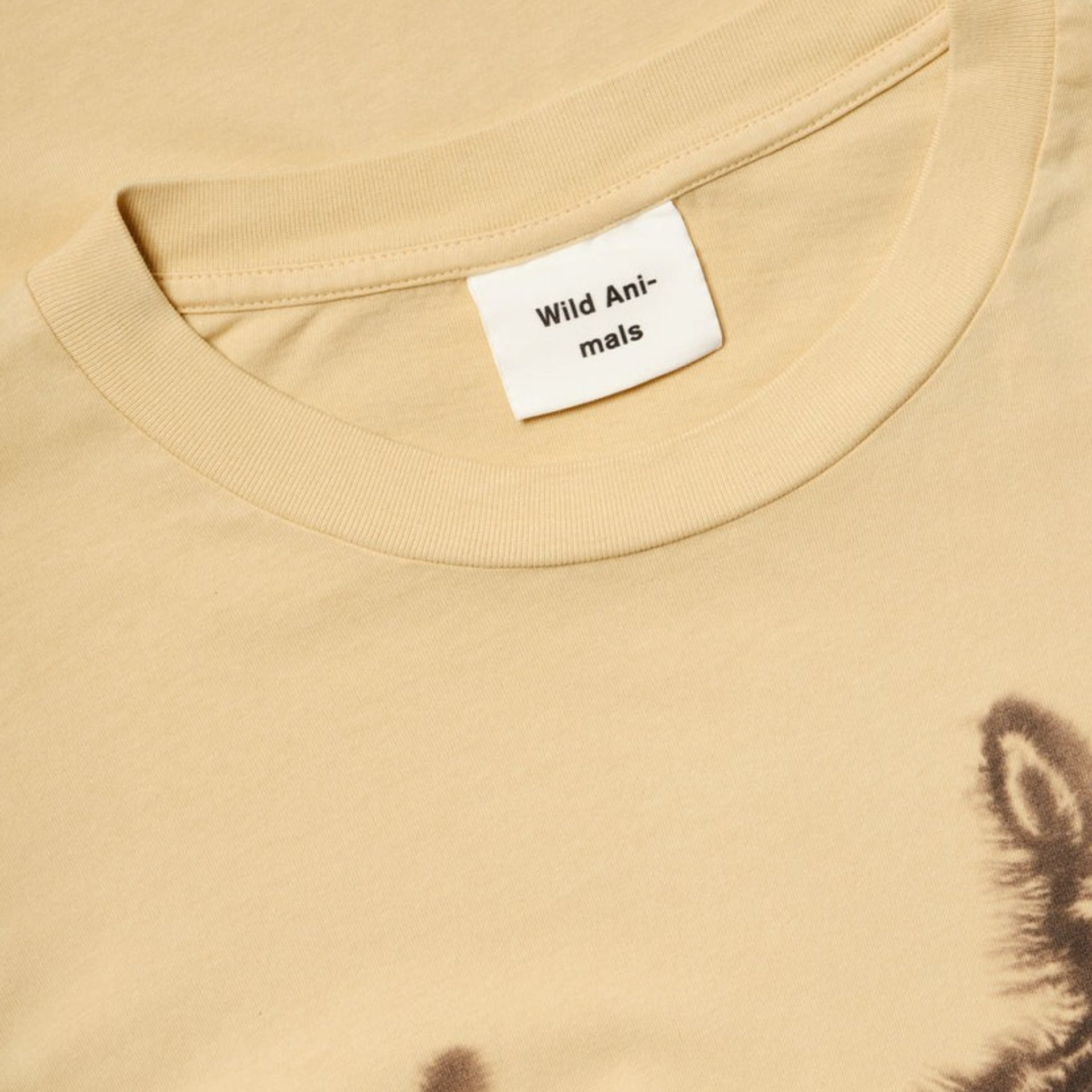 Wild Animals Longsleeve 3 Donkeys
