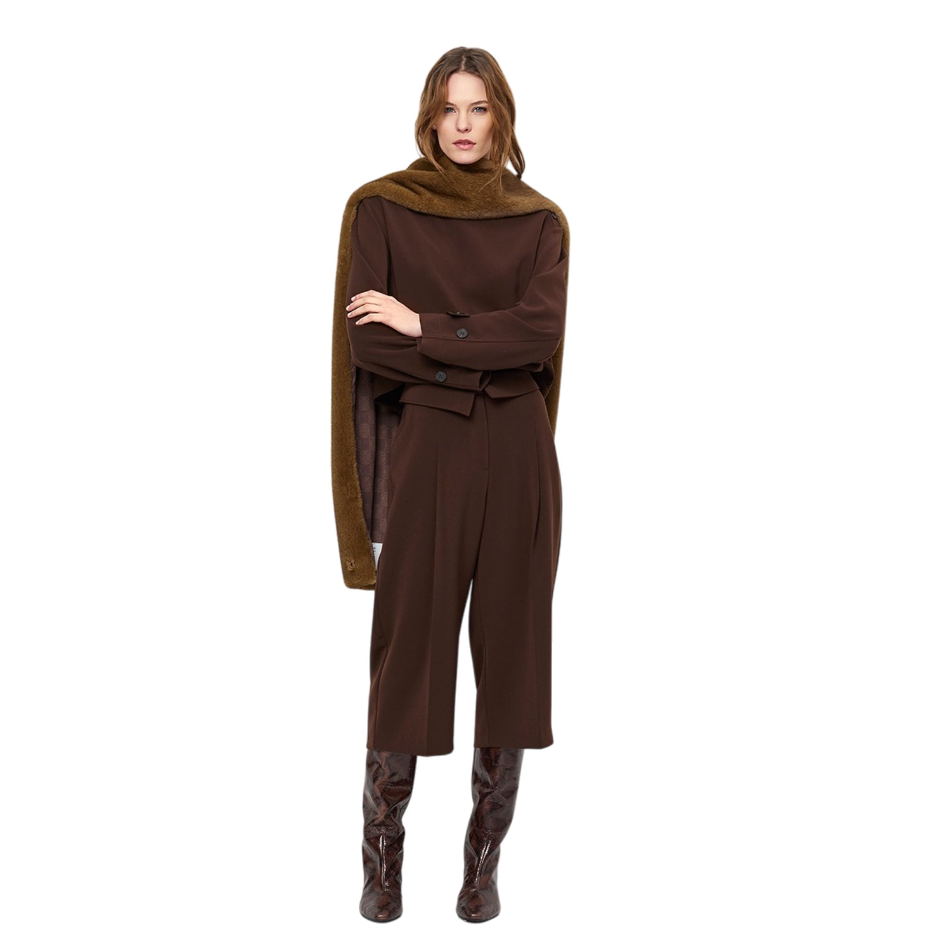 Dante 6 Top Reas