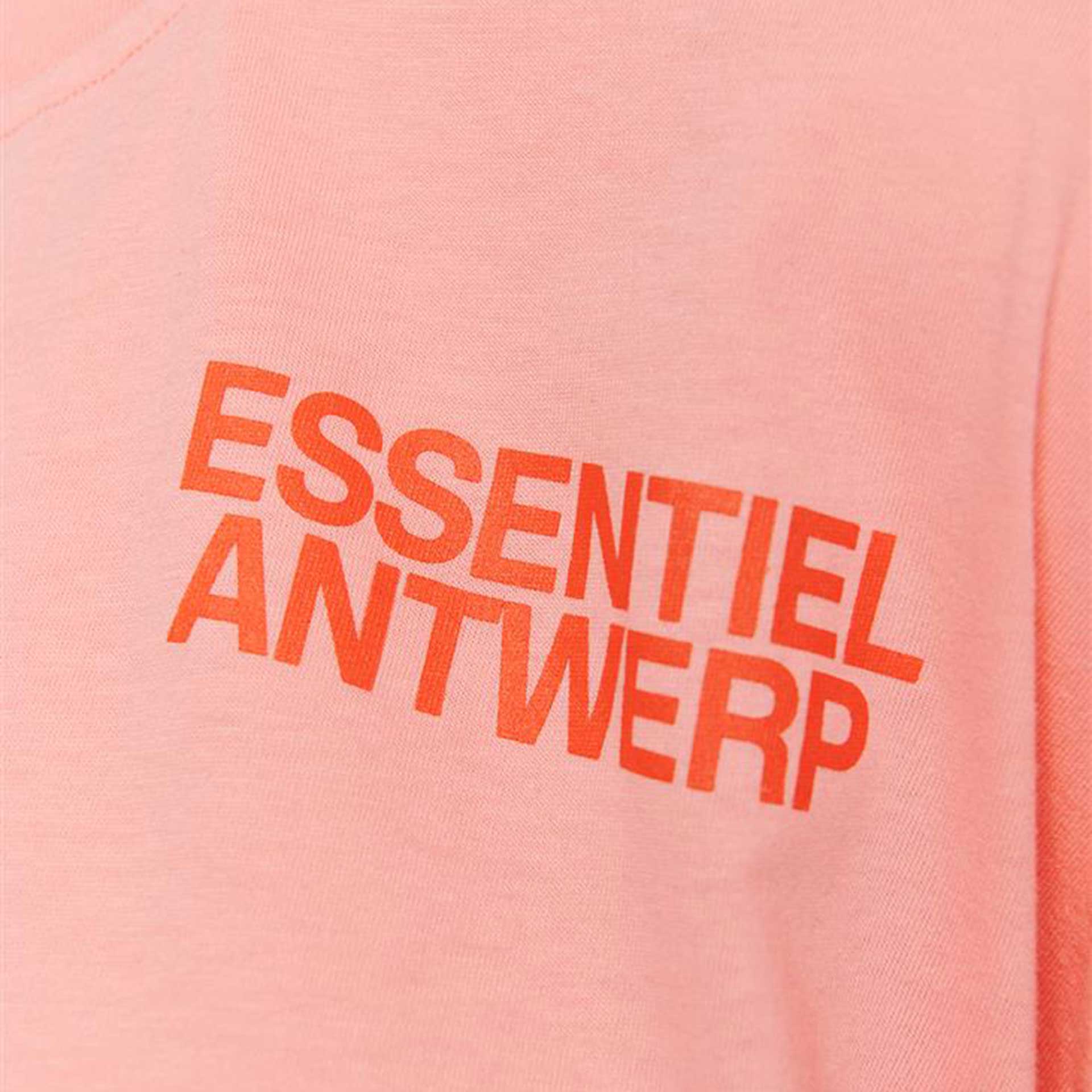 Essentiel T-shirt Fasta 6