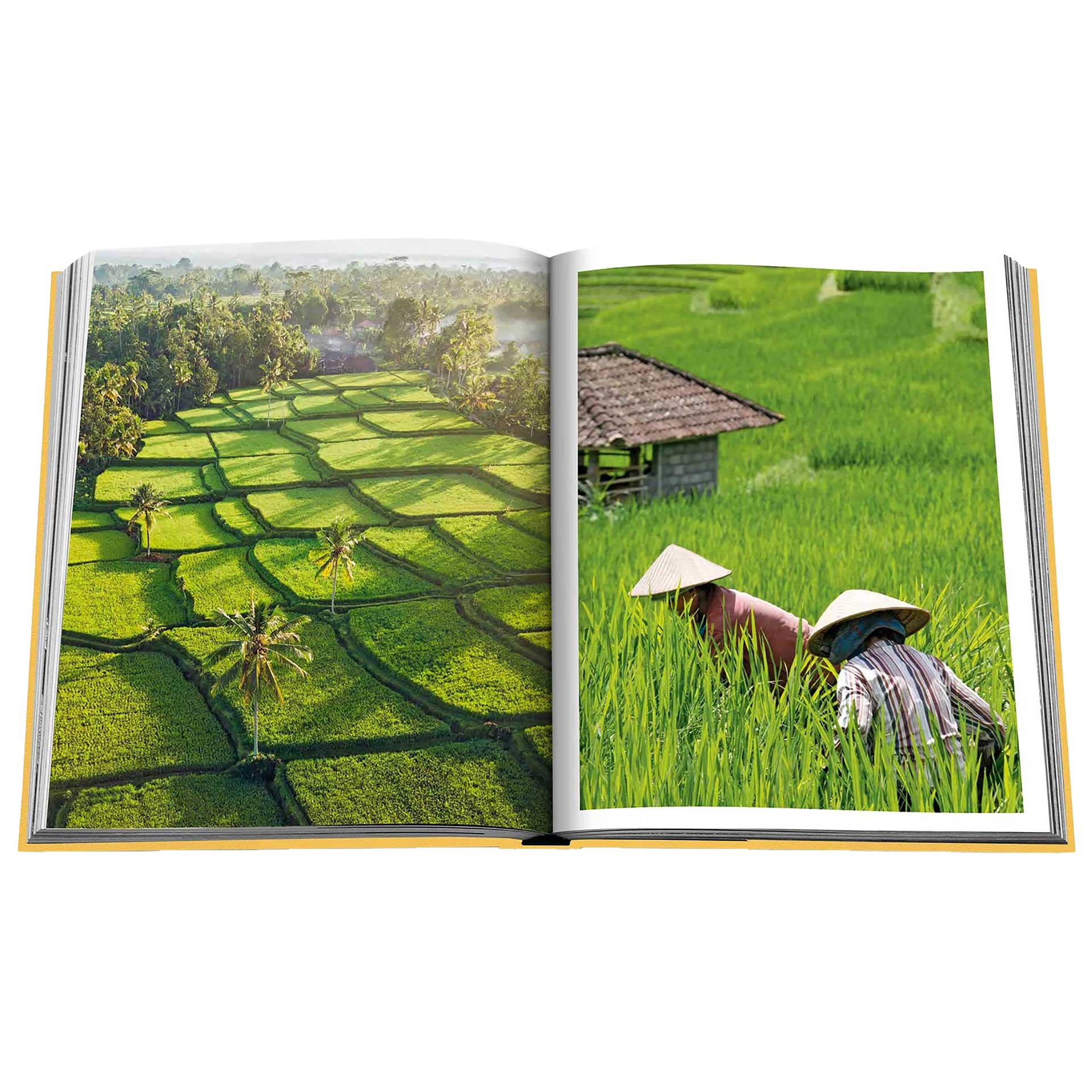 Assouline Assouline boek Bali