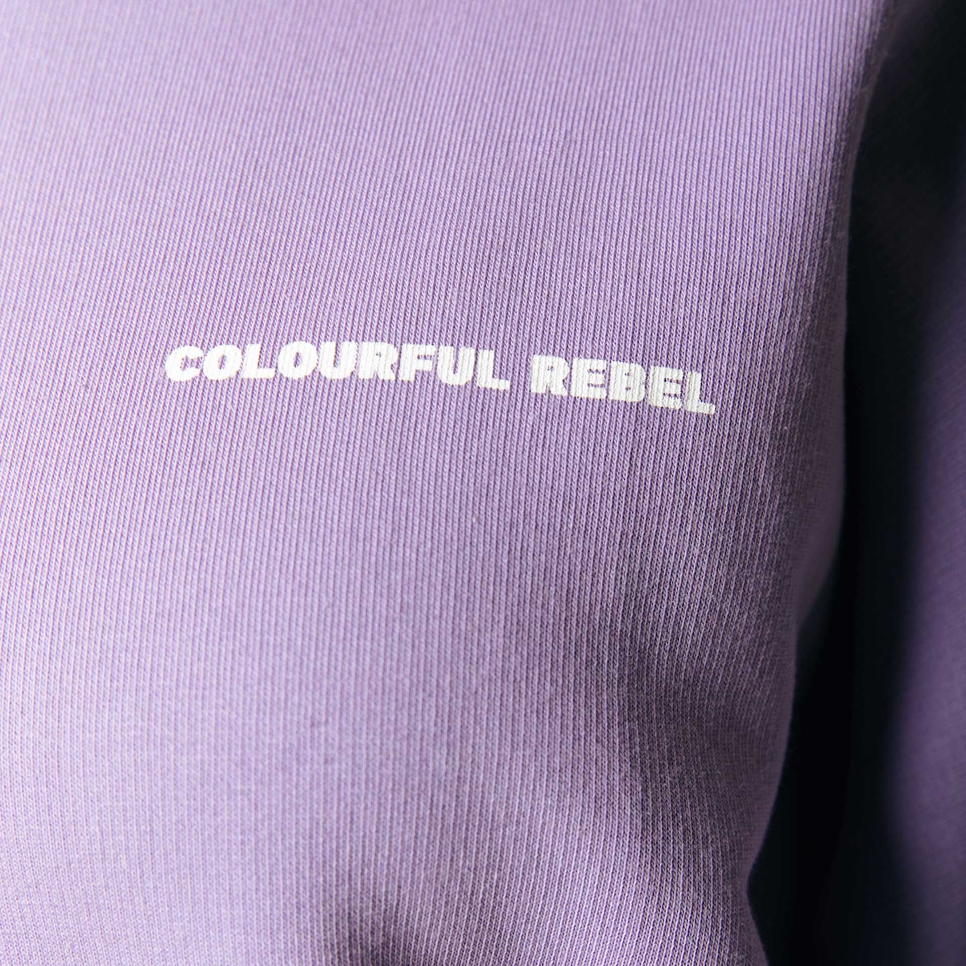 Colourful Rebel Sweater Multi Racer Logos