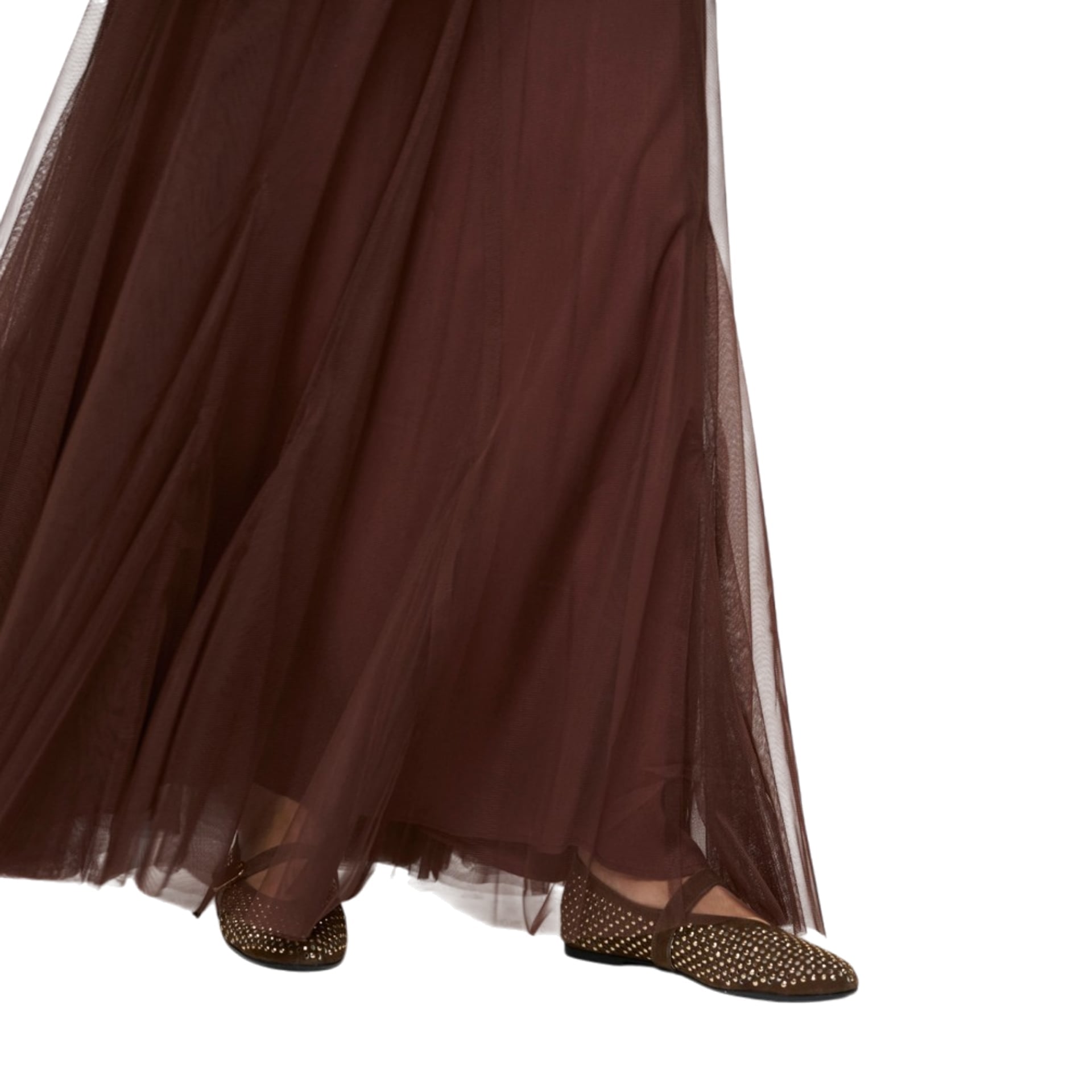 Dante 6 Rok Taryn