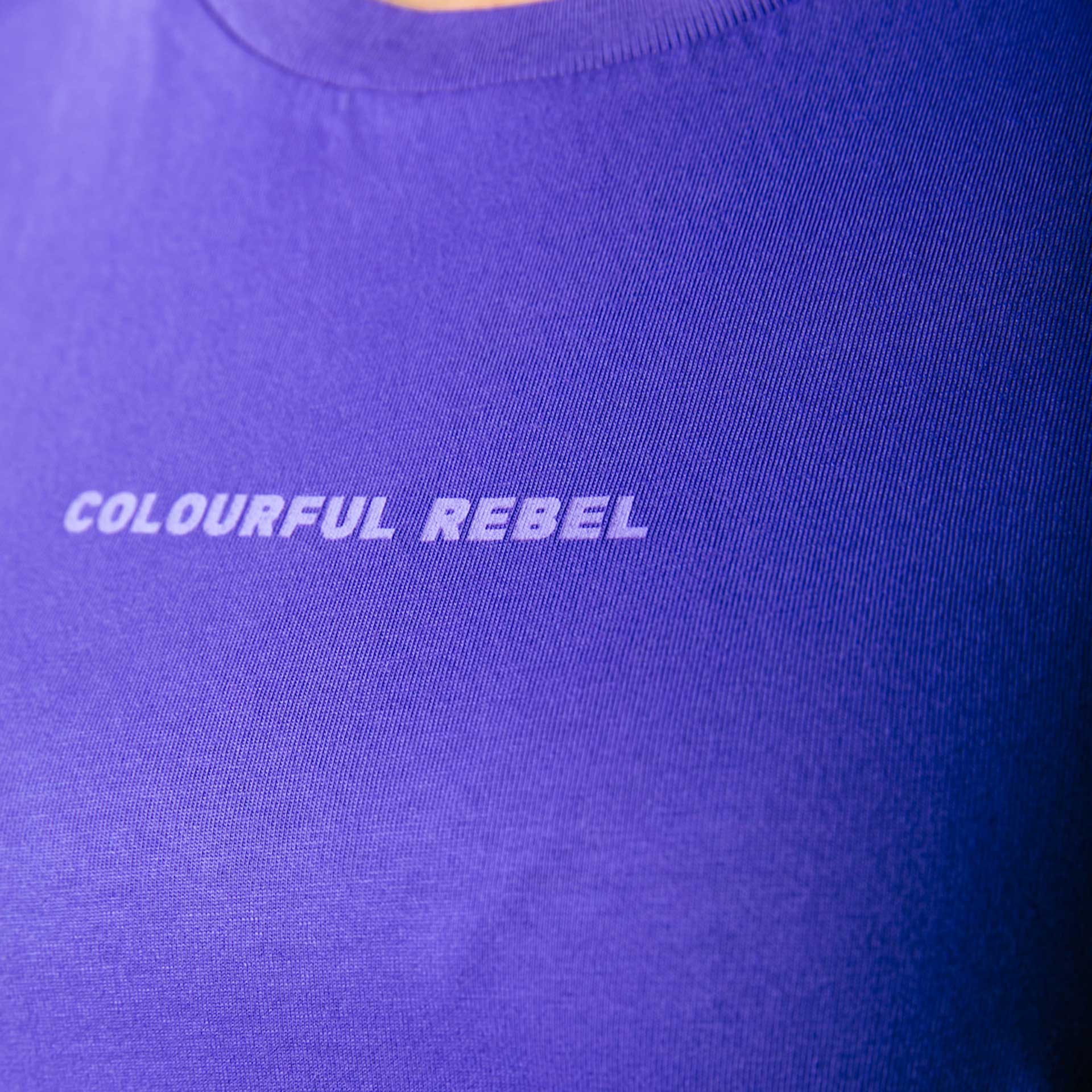 Colourful Rebel T-Shirt Uni logo Boxy