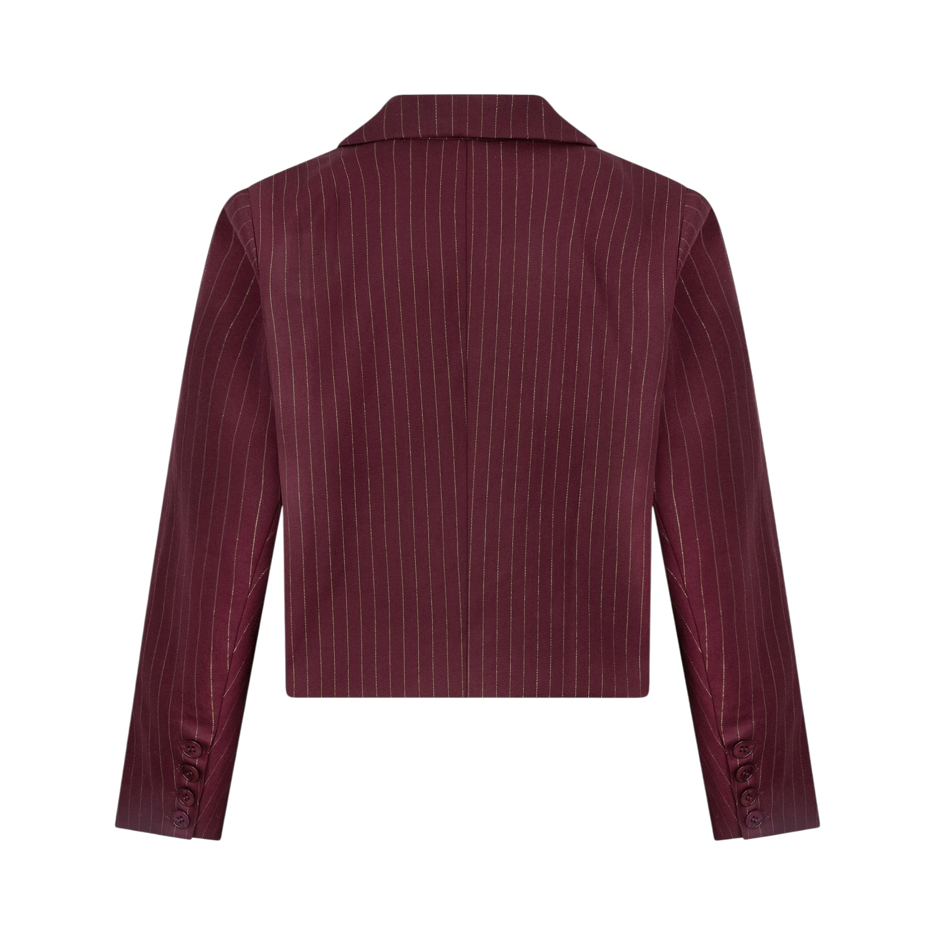 Ydence Blazer Ilonka