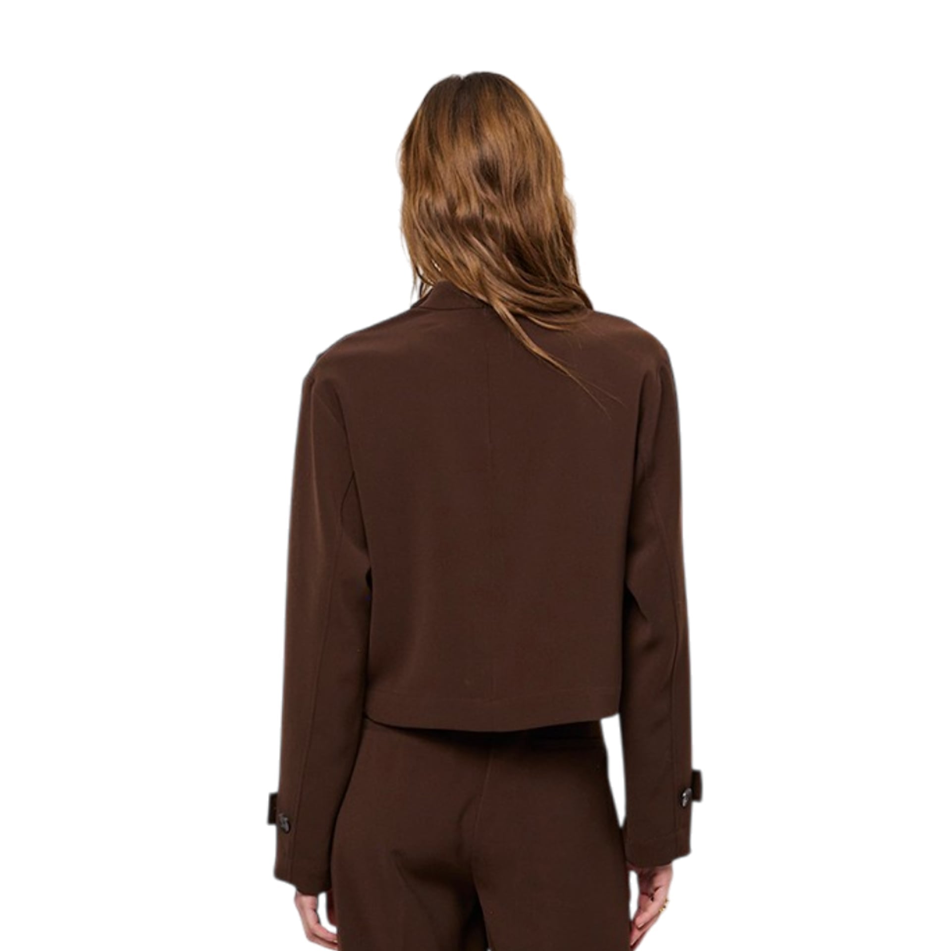Dante 6 Top Reas