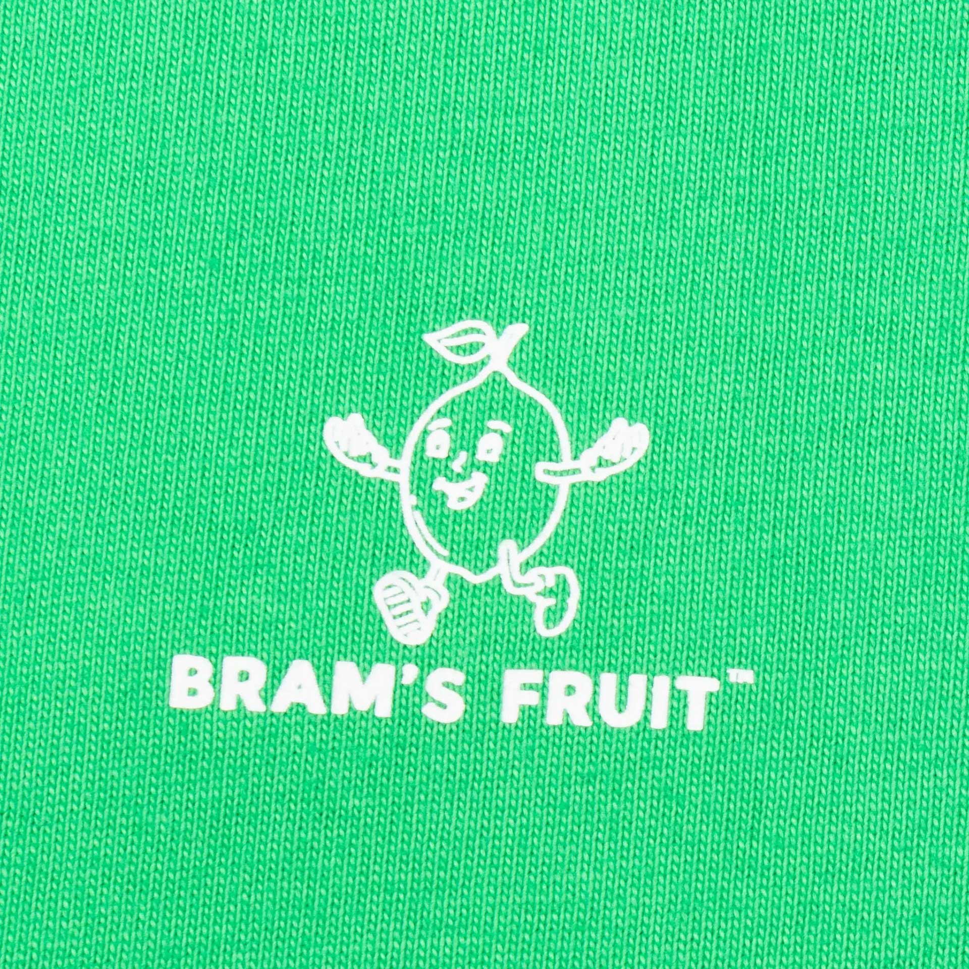 Bram's Fruit T-Shirt Outline