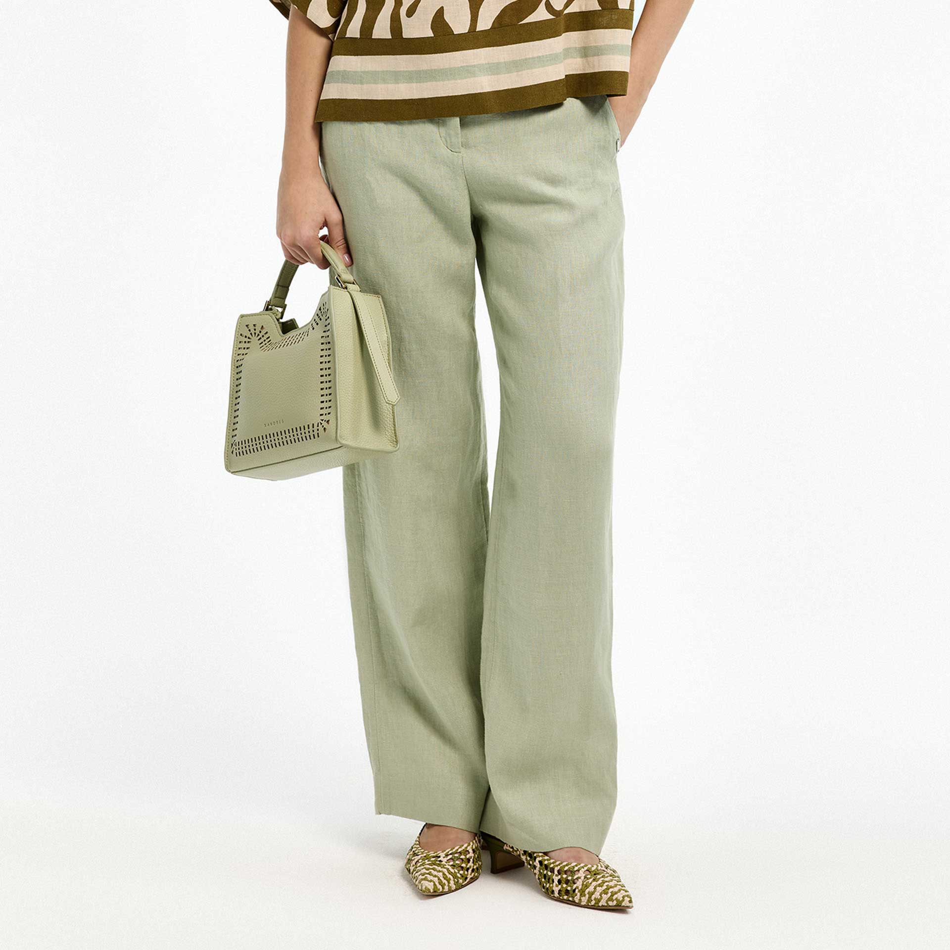 Xandres Broek Phocus