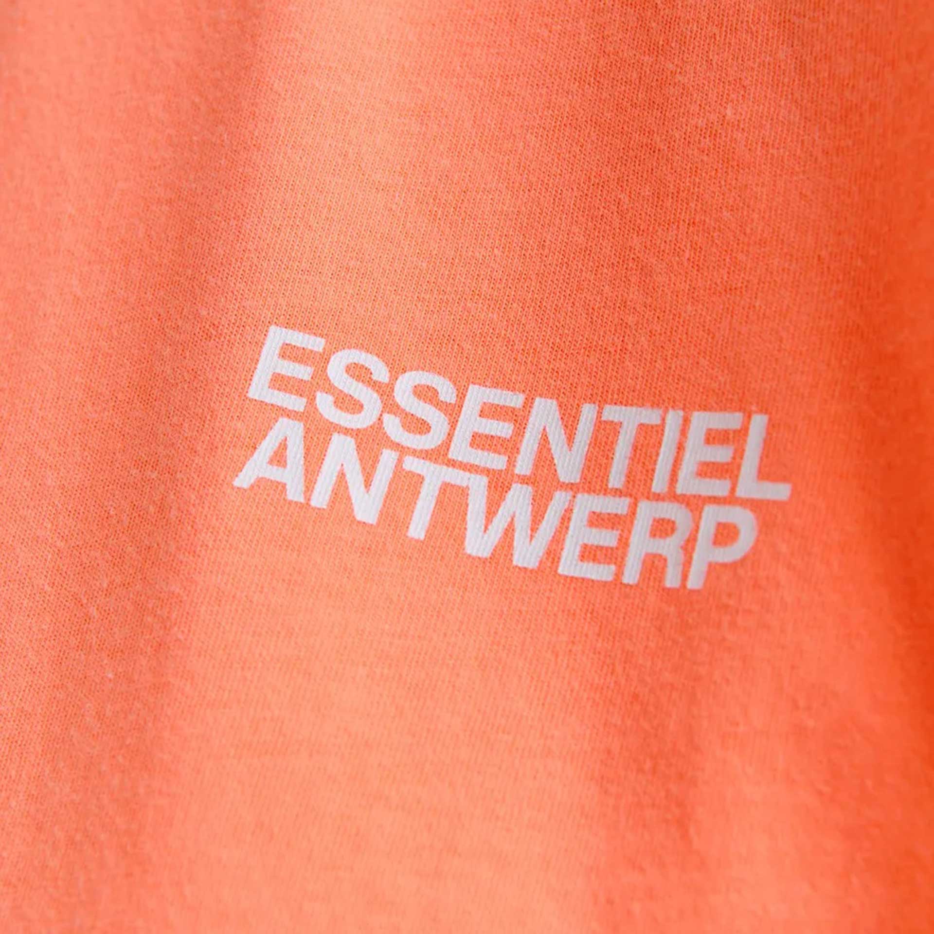 Essentiel T-Shirt Halarm