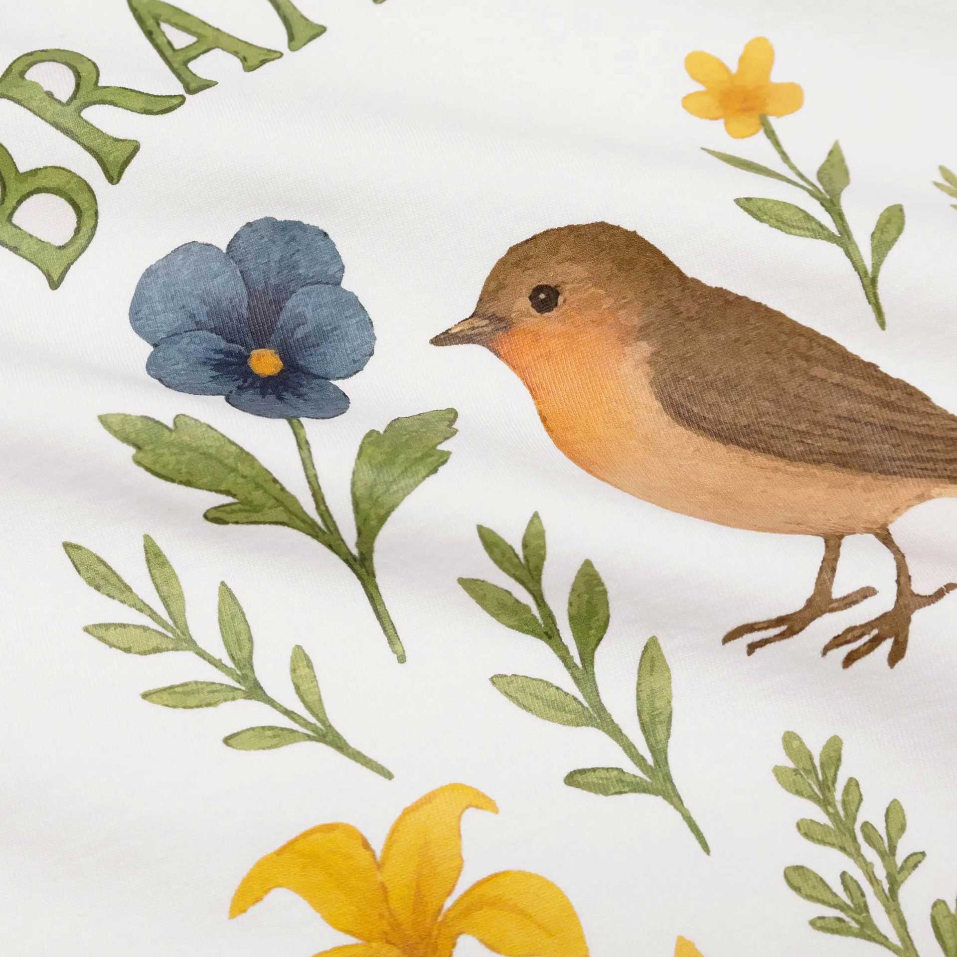 Bram's Fruit T-shirt Robin