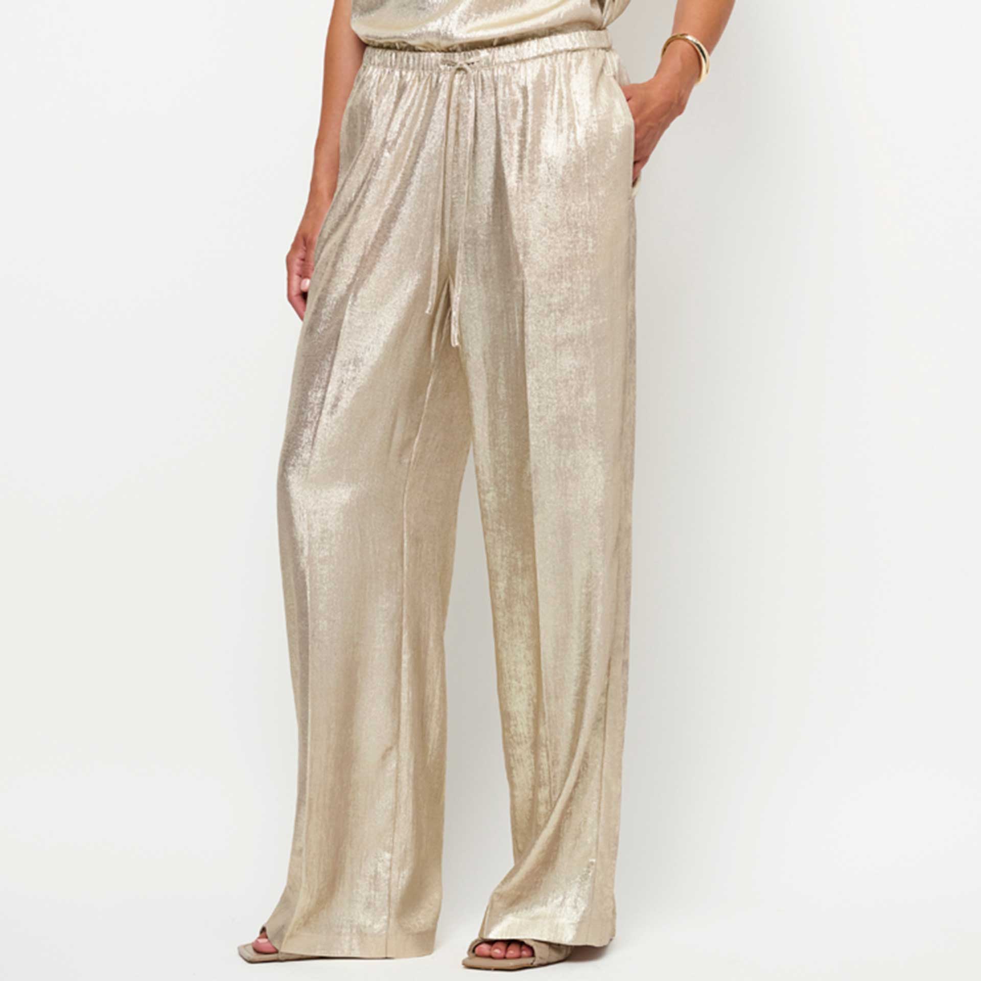 Dante 6 Broek Ido Metallic