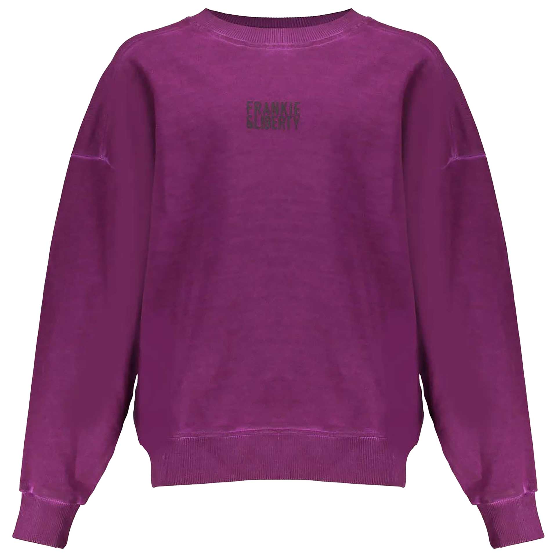 Frankie and Liberty Sweater Paris