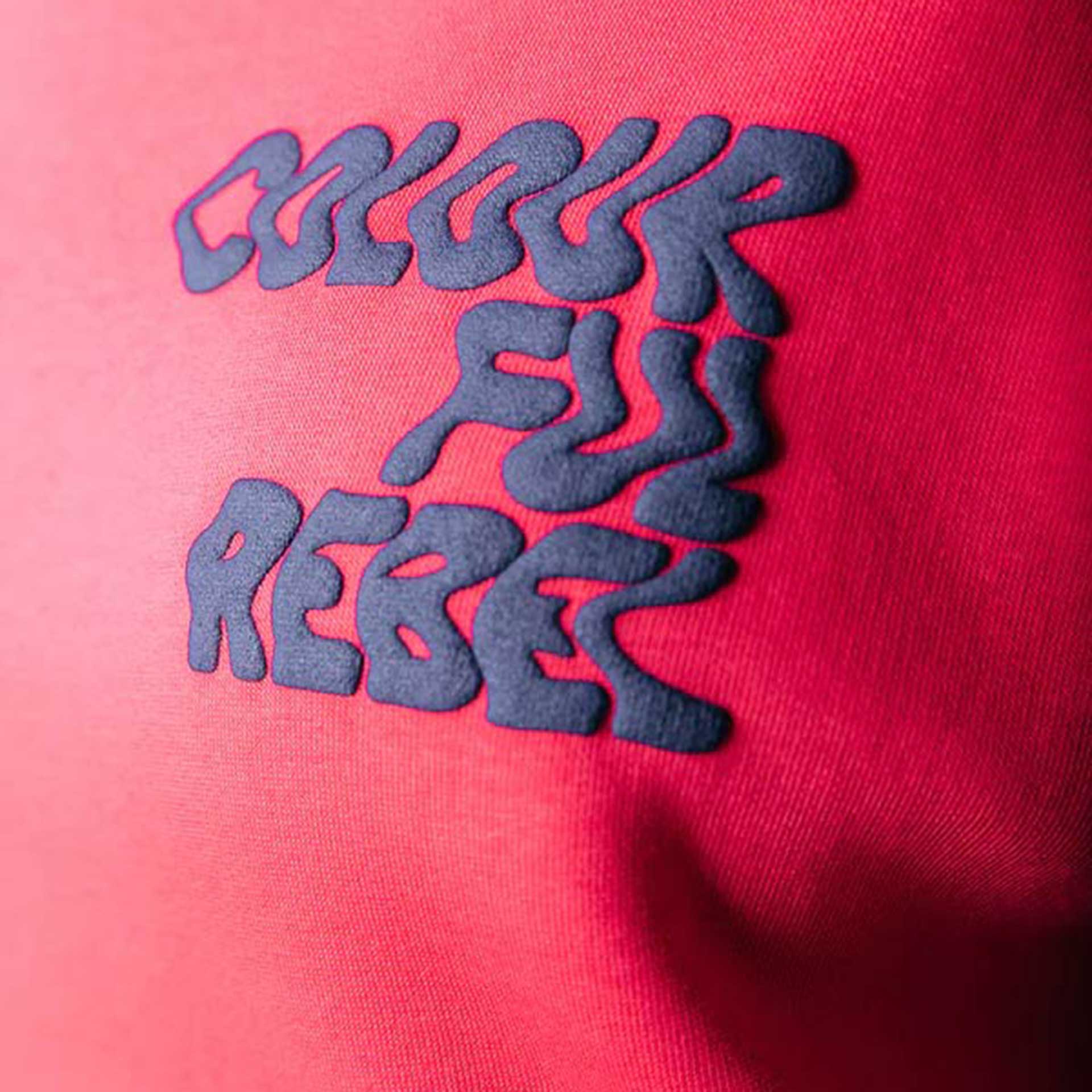 Colourful Rebel Sweater Logo Wave